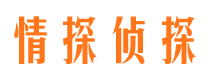 巴中外遇调查取证